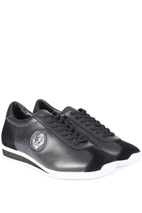 versace versus lion head trainers|Amazon.com .